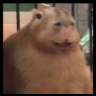 NahuasWorld icon