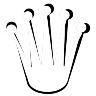 Rolex Icon