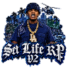 Set Life Roleplay V2 icon