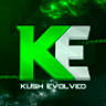 Kush Evolved icon
