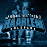 Haarlem Roleplay icon