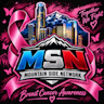 MSN Icon