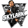 [Qbox Project] Skylarp icon
