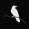 ロゴ： Raven Framework