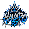 HAVAPO RJ icon
