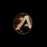 Logo of Agony Studios Test | [ESX Legacy]