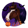 GGI Equestrian icon