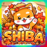 SHIBA SERVER▬▬▬▬↭🡺시바서버🡸↭▬▬▬▬ icon
