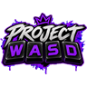 Логотип Project WASD | Test Server