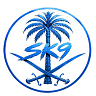 SK9 icon