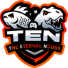 TEN-Lan Icon