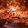 The Springs Icon